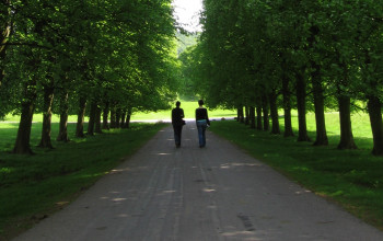 Psicologo, Psichiatra, Psicoterapeuta... a chi rivolgersi?